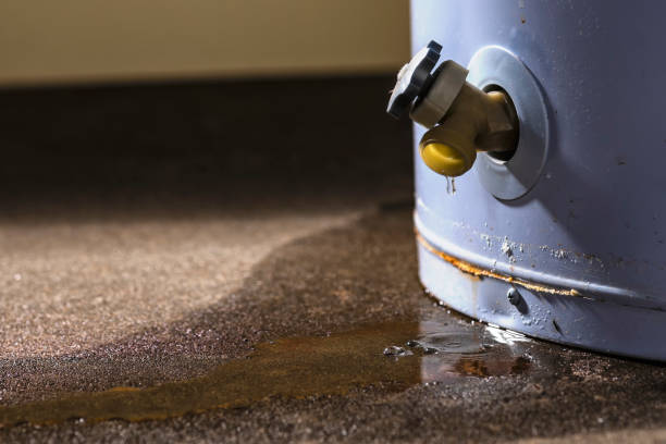Best Water damage cleanup near me  in Ponderosa Park, CO
