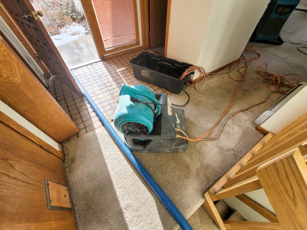 Best Emergency water extraction  in Ponderosa Park, CO