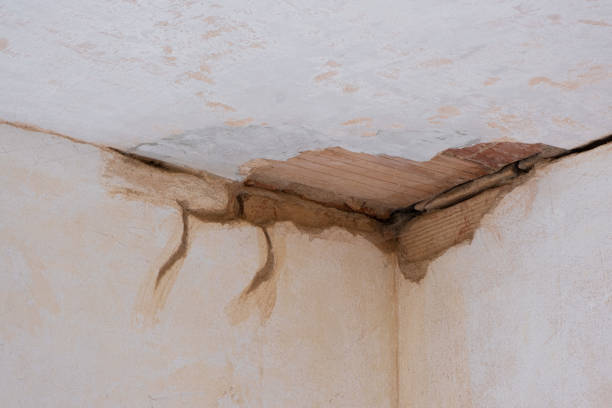  Ponderosa Park, CO Water damage restoration Pros