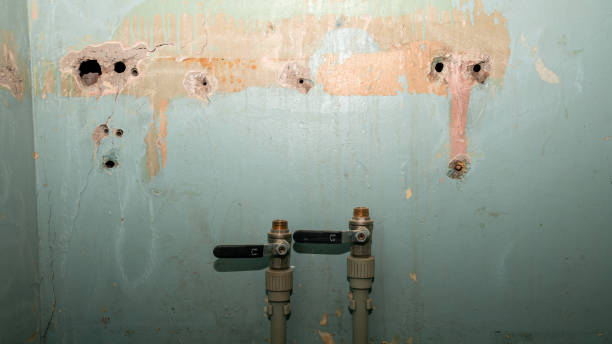 Best Carpet water damage restoration  in Ponderosa Park, CO